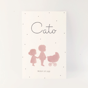 Geboortekaartje Cato zusje voor de geboorte van een derde kindje - van Kikker & Prins