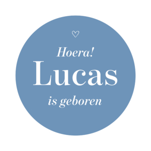 Raamsticker geboortesticker rond Lucas van Kikker en Prins