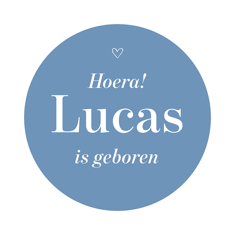Raamsticker geboortesticker rond Lucas van Kikker en Prins